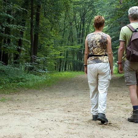 Camping De Binnenvaart Superior Chalet Aan de Wolfsberg エクステリア 写真